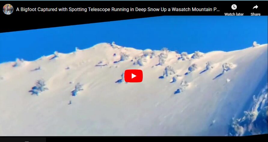 A Bigfoot Captured with Spotting Telescope Running in Deep Snow Up a Wasatch Mountain Peak