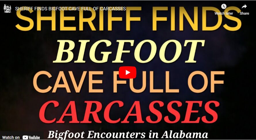 Bigfoot Case Files