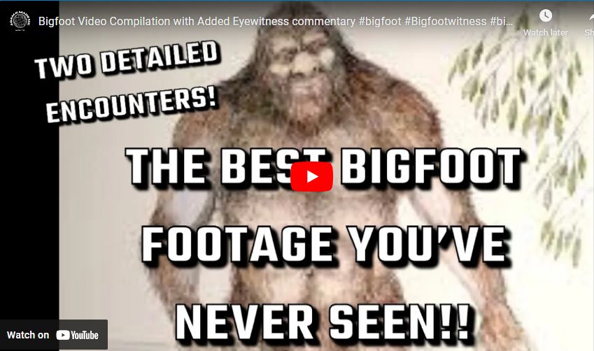 Bigfoot Video Compilation with Added Eyewitness commentary