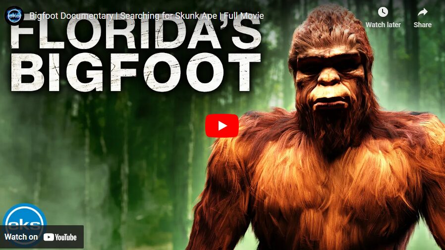 Hear Amazing encounters with the Skunk Ape, Florida's Bigfoot, and learn from a group searching for this mythical hairy creature.