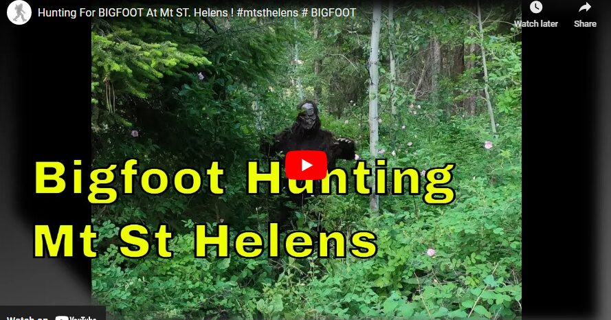 Hunting For Bigfoot At Mt St Helens Northwest Bigfoot