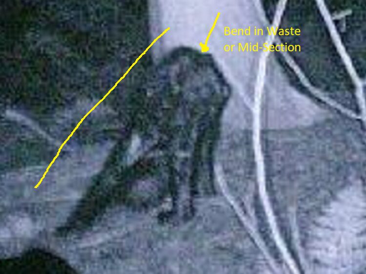 Jacobs Bigfoot Picture