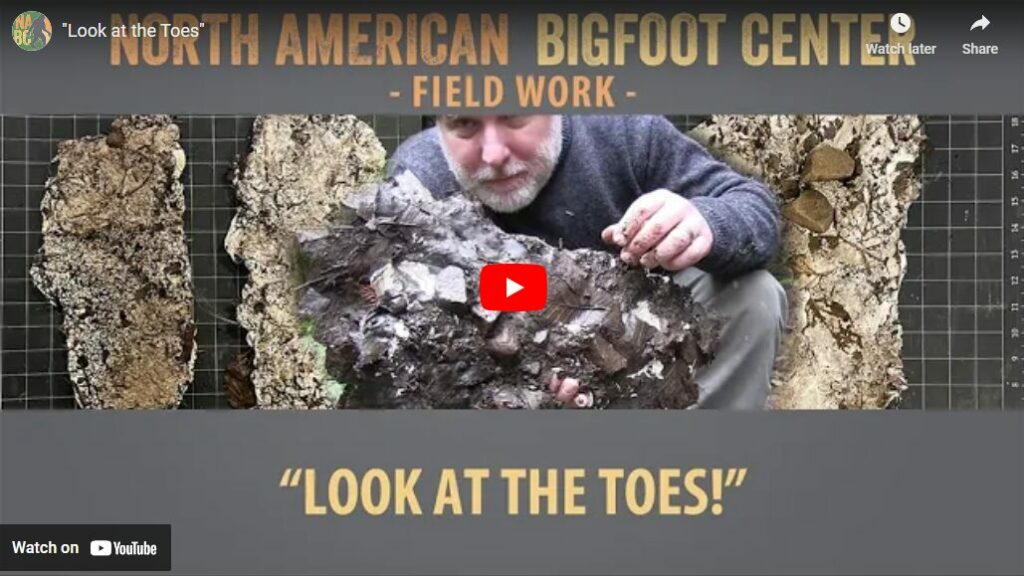 Look at the Toes - Cliff Barackman