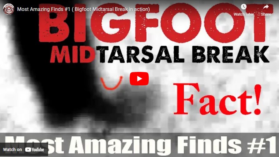 Most Amazing Finds #1 ( Bigfoot Midtarsal Break in action)