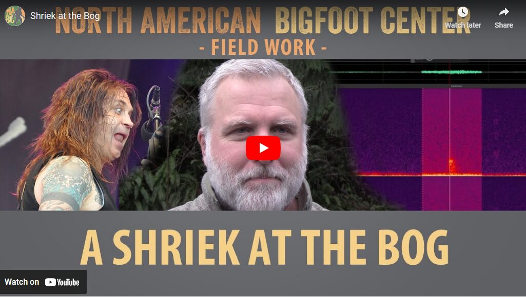 Shriek at the Bog - Cliff Barackman