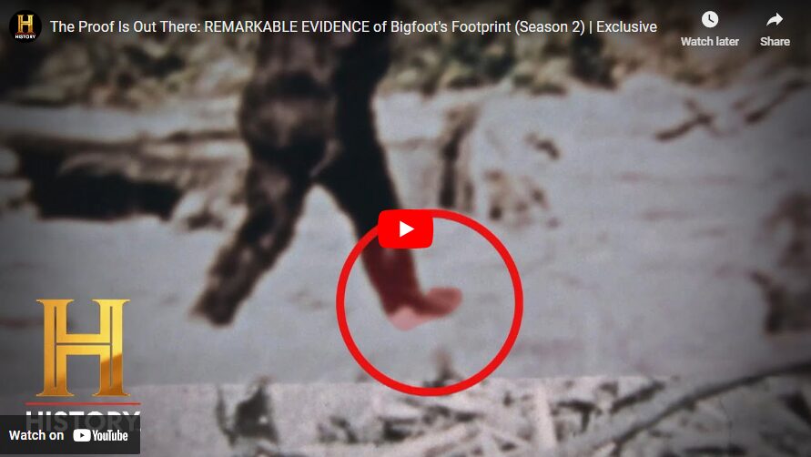 The Proof Is Out There- REMARKABLE EVIDENCE of Bigfoot's Footprint