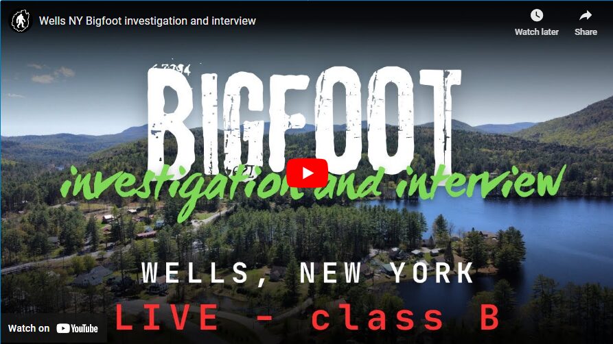 Wells NY Bigfoot investigation and interview