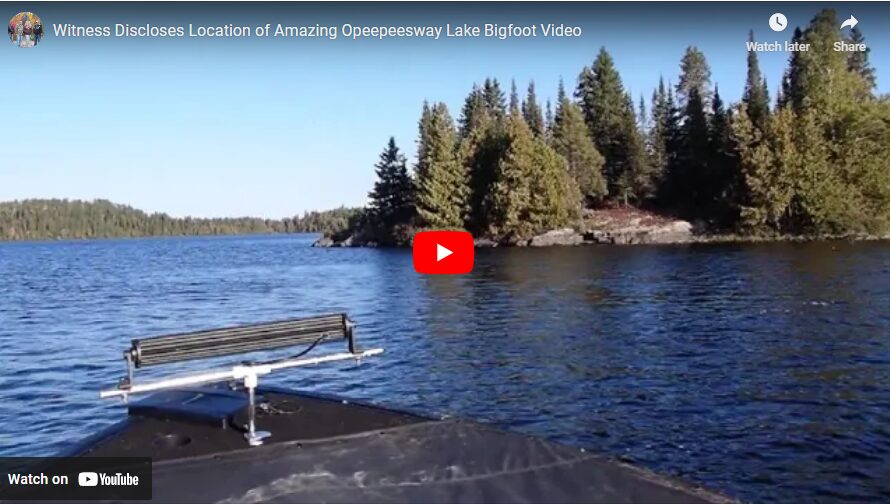 Witness Discloses Location of Amazing Opeepeesway Lake Bigfoot Video