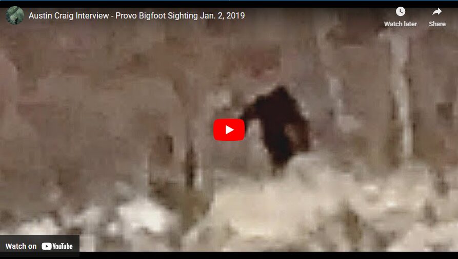 Austin Craig Interview - Provo Bigfoot Sighting Jan. 2 2019