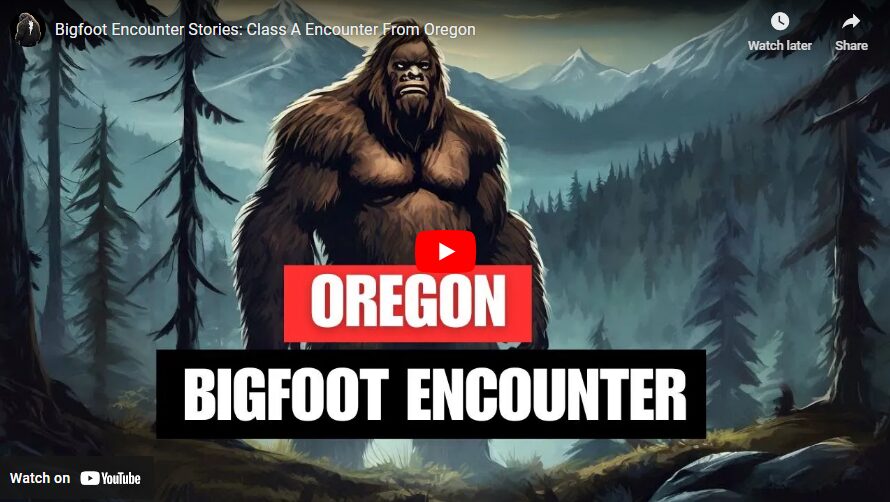 Bigfoot Encounter Stories - Class A Encounter From Oregon