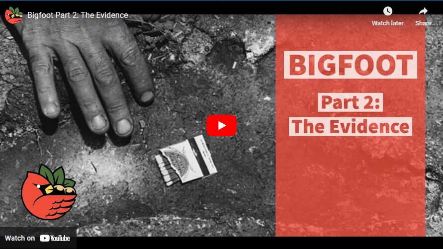 Bigfoot Part 2 - The Evidence