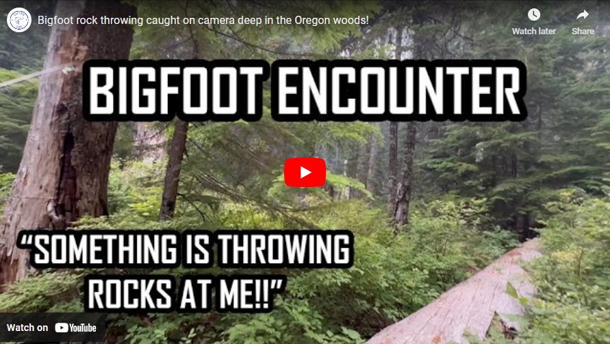 Bigfoot rock throwing caught on camera deep in the Oregon woods