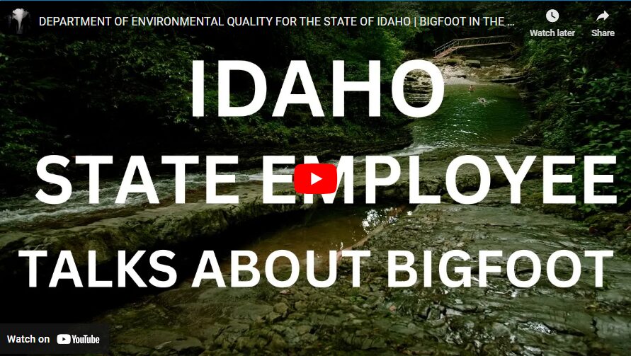 DEPARTMENT OF ENVIRONMENTAL QUALITY FOR THE STATE OF IDAHO - BIGFOOT IN THE MOUNTAINS