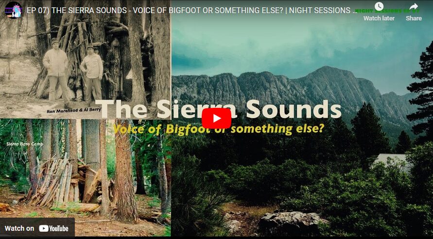 EP 07 THE SIERRA SOUNDS - VOICE OF BIGFOOT OR SOMETHING ELSE NIGHT SESSIONS - MYSTERY RADIO