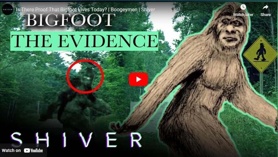 Is There Proof That Bigfoot Lives Today - Boogeymen - Shiver