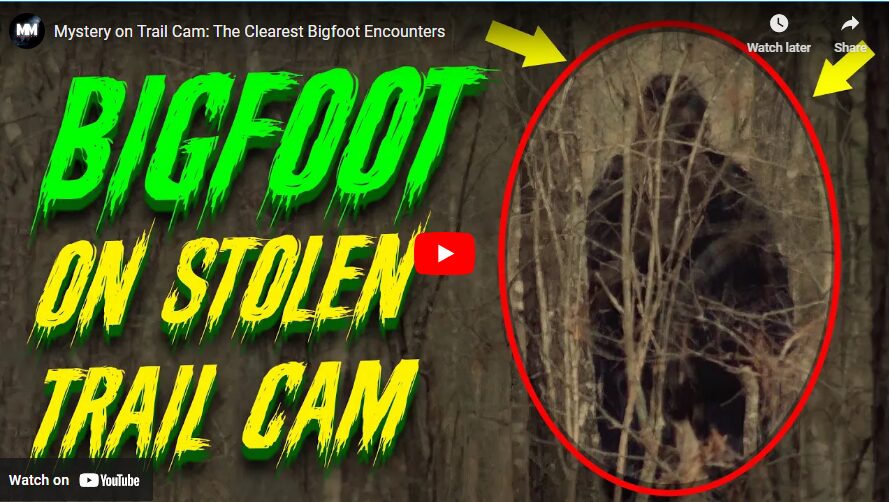 Mystery on Trail Cam - The Clearest Bigfoot Encounters