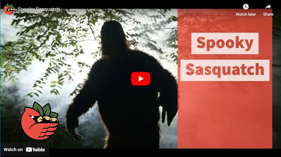 Spooky Sasquatch