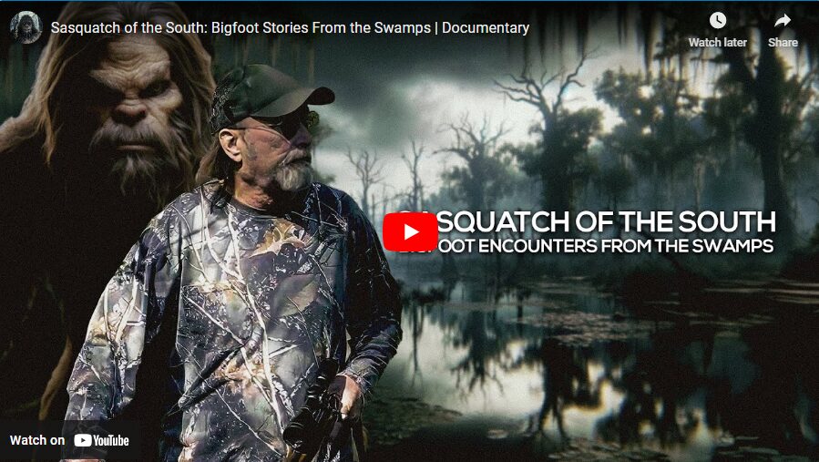 Sasquatch of the South - Bigfoot Stories from the Swamps