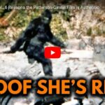 Bigfoot is Real…6 Reasons the Patterson-Gimlin Film is Authentic