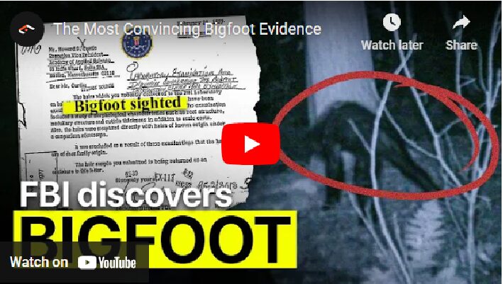 The Most Convincing Bigfoot Evidence