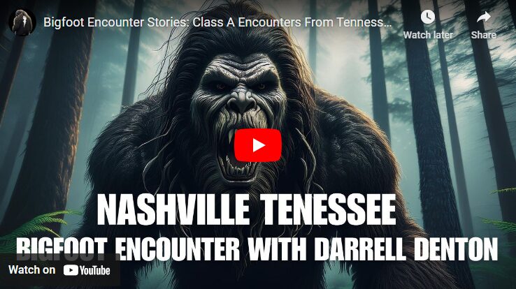 Bigfoot Encounter Stories - Class A Encounters from Tennessee