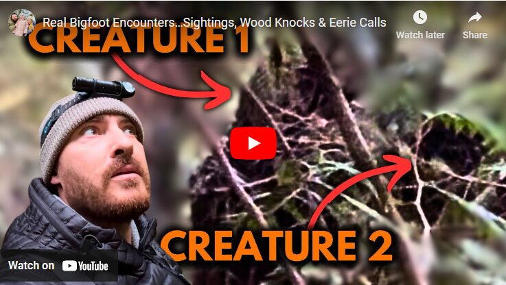 Real Bigfoot Encounters…Sightings, Wood Knocks & Eerie Calls