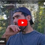 The Most Compelling Sasquatch Evidence on Record