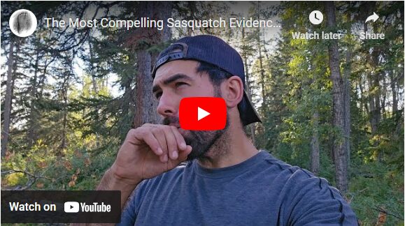 The Most Compelling Sasquatch Evidence on Record