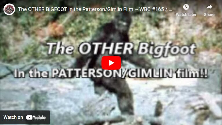 the other Bigfoot in the Patterson Gimlin Film