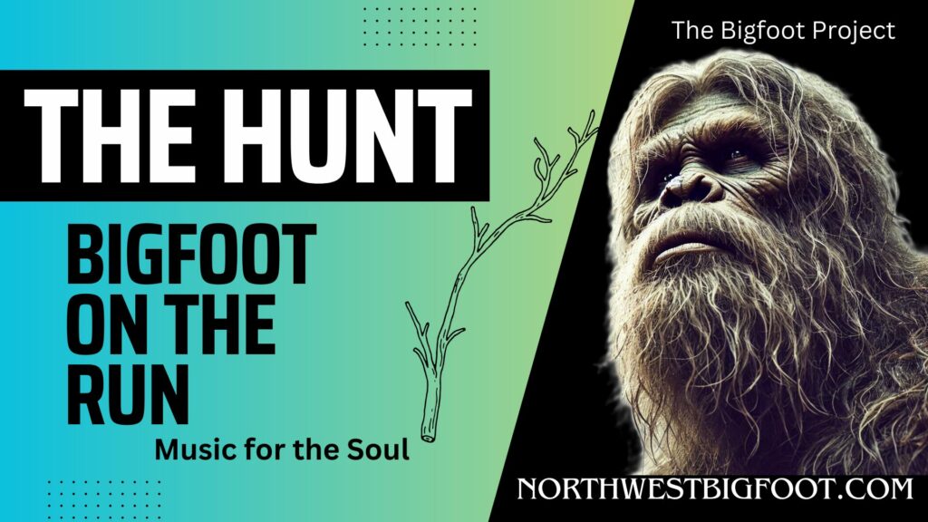 The Hunt - Bigfoot on the Run