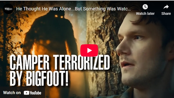 Half-Missing Body Found in Swamp, Experts Reveal Bigfoot’s TERRIFYING Role in This Unsolved Mystery!